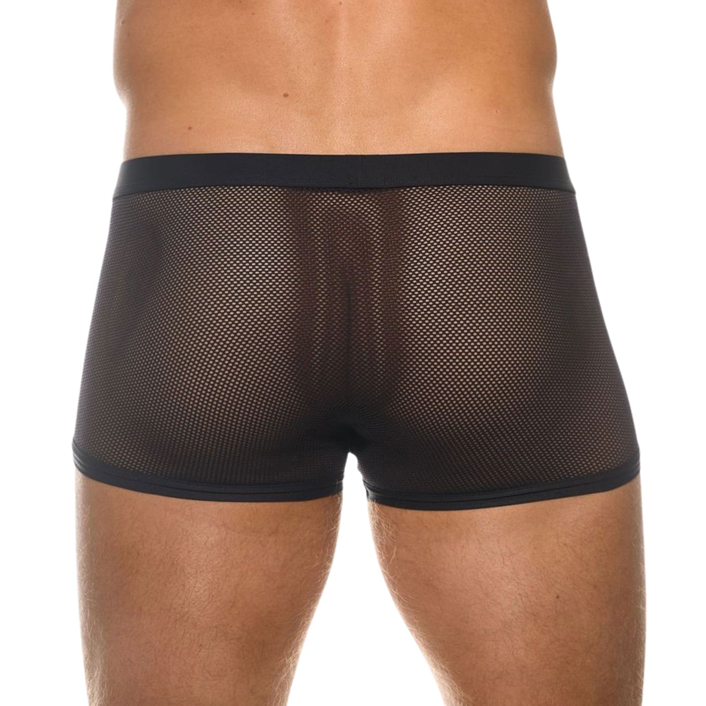 Studded Muzzle Mesh Caged Brief