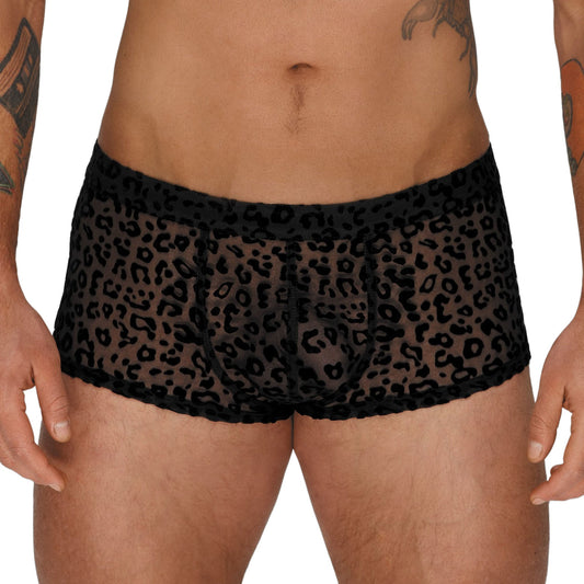 Flocked Animal Print Sheer Mesh Brief Shorts