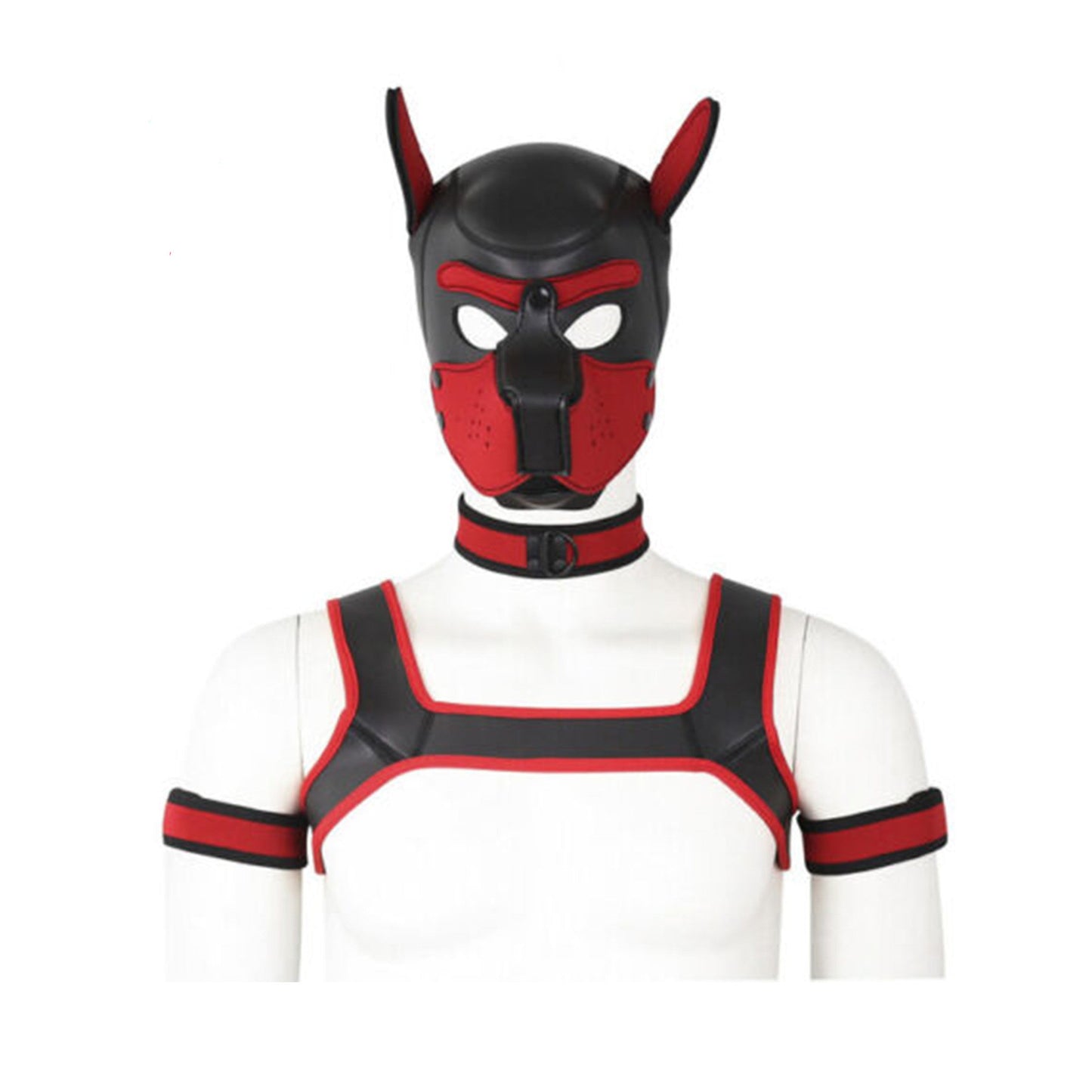 Neoprene Puppy Kit (hood, tail, armbands, collar, leash, bone gag, harness, paw gloves)