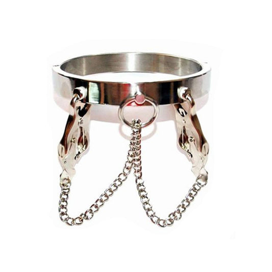 Collar With Clover Clamps