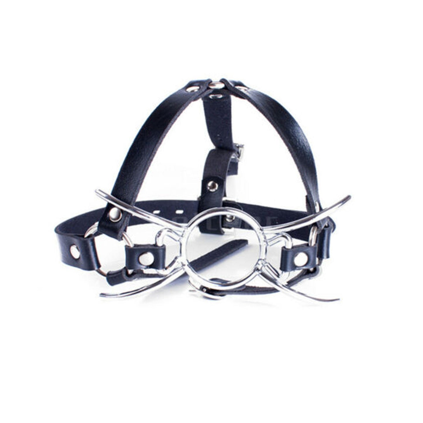 Open Mouth Gag With  Face Harness